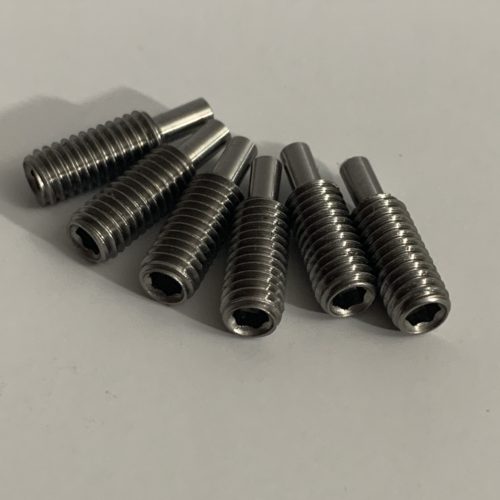 Adjusting Screws 22493
